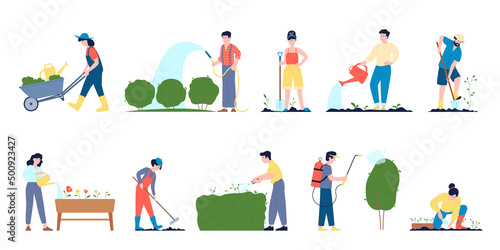 People gardening lush plants in wood pots and ground. Transplanting organic greenery, summer rest in village. Agriculture hobby, recent vector planting characters