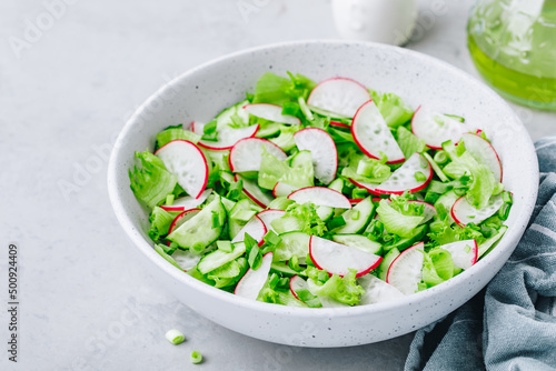 Spring vegetable salad. Fresh radish cucumber salad with green lettuce in bowl