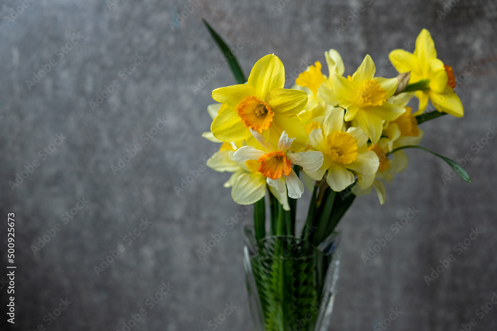 Panoramic grunge background with yellow daffodil flowers. Pattern with a bouquet of daffodils flowers on a dark background. Wide angle web banner mockup with copy space