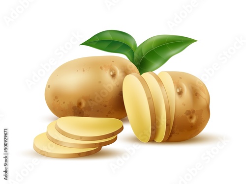 Realistic potato with green leaf. Raw whole and sliced vegetable. Simple composition. Natural product. Vegetarian cooking ingredient. Starchy tuber. Agriculture crop. Vector concept