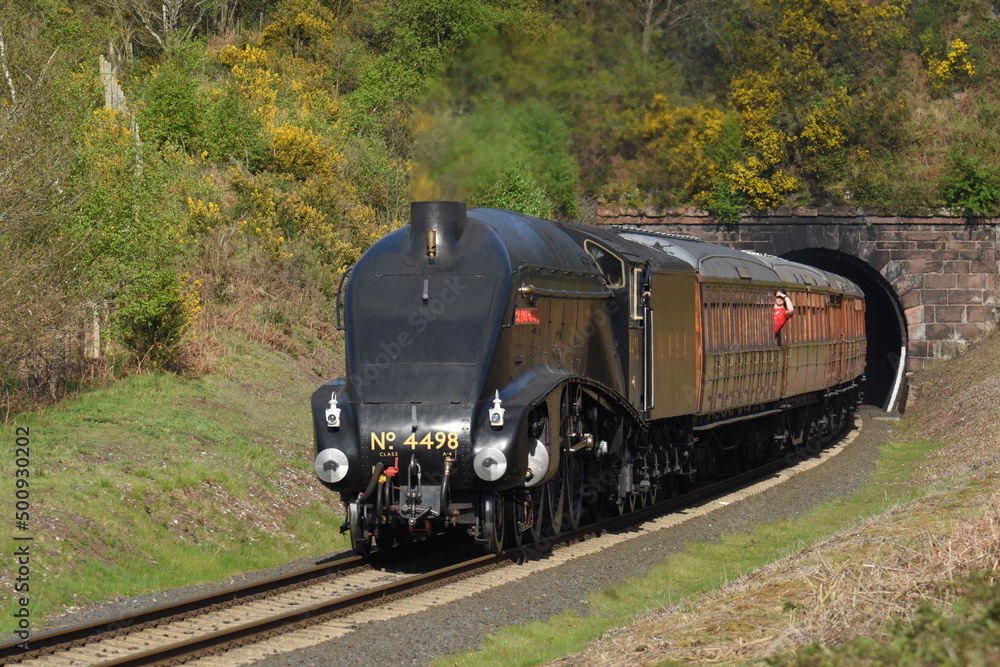 Fototapeta premium Sir Nigel Gresley traveling though Devil's Spittleful nature reserve during the Severn valley railway spring steam gala