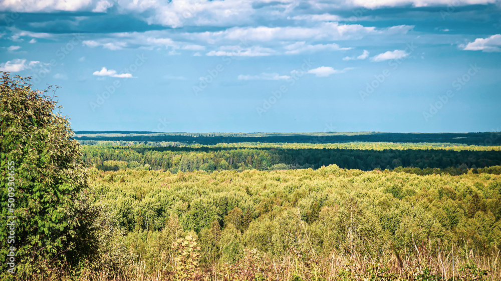 Fototapeta premium landscape, view of the forest valley