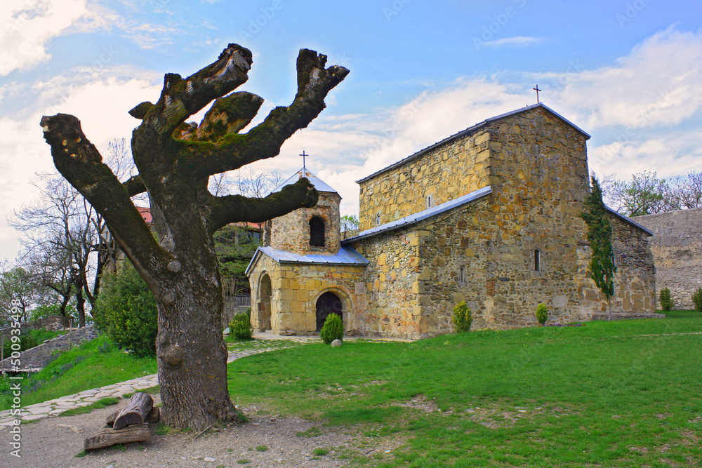Ancient Monastery Zedazeni in Georgia