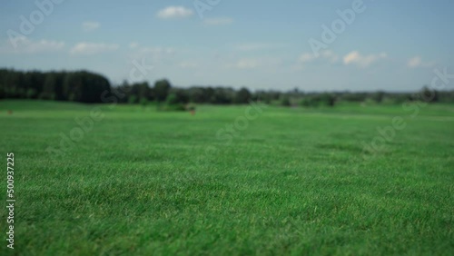 Golf course landscape view at country club. Grass fairway on summer sunny day.