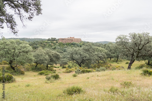 Roman archaeological site of Munigua in Seville (Spain) photo