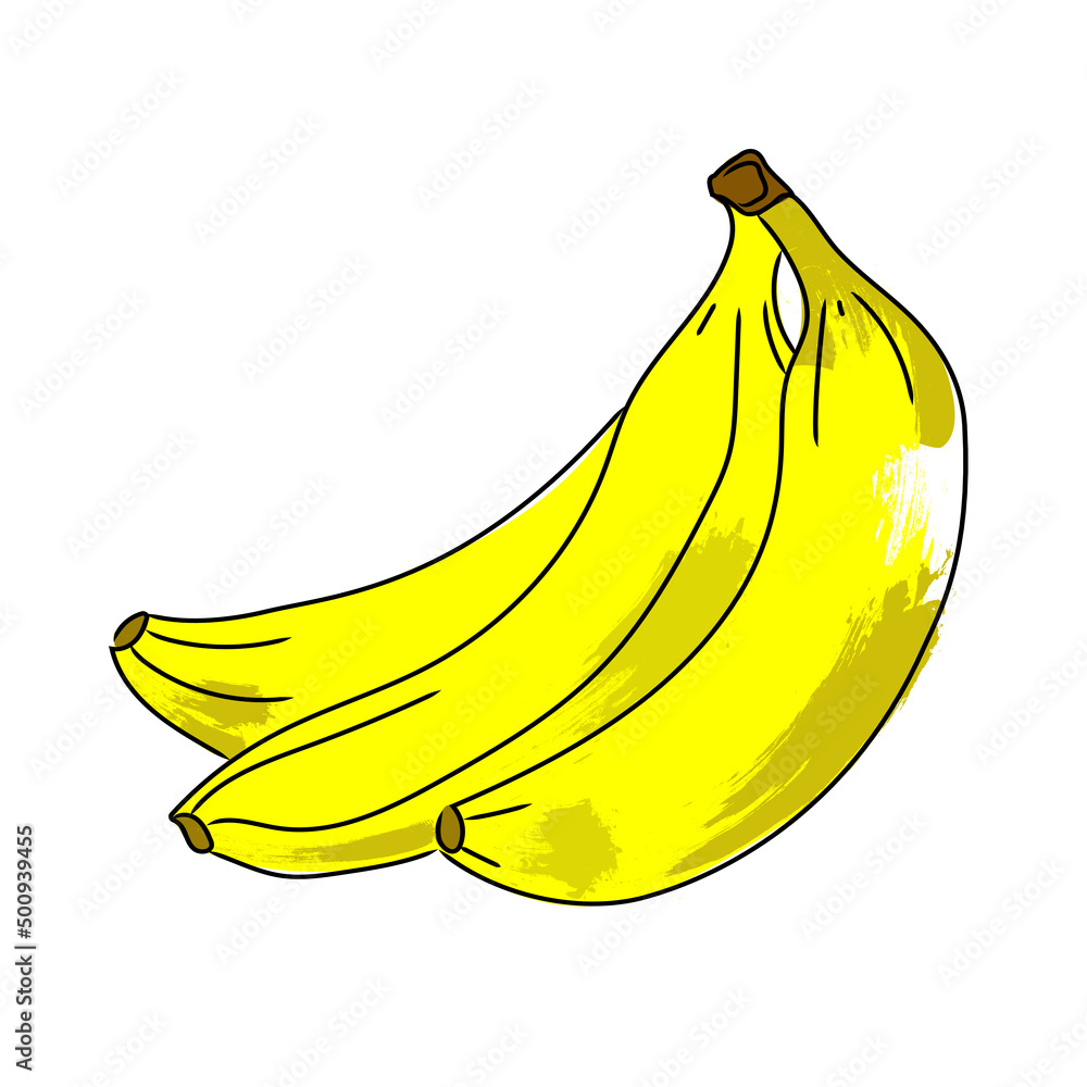 Bananas color vector sketch illustration isolated on white background.Fruits Bananas abstract Art.Healthy food.