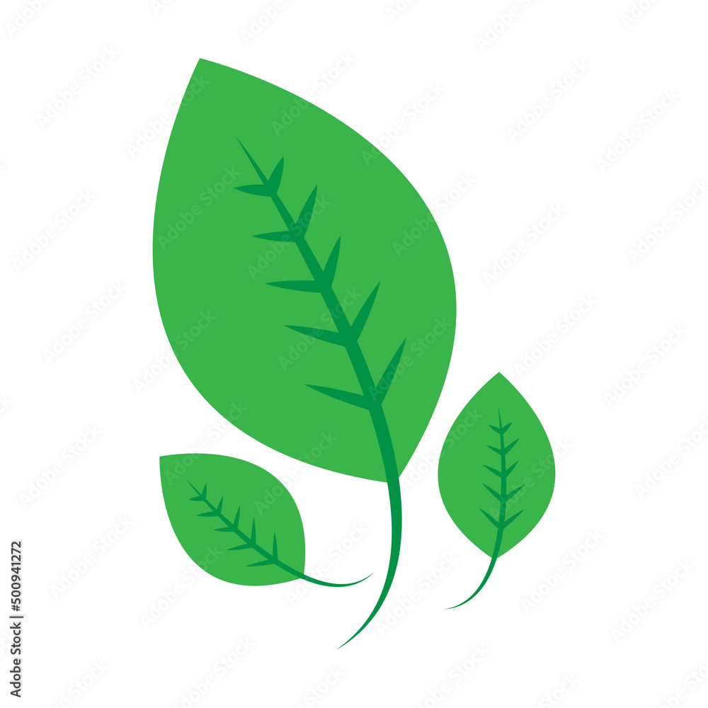 Leaf of tree and plant. Ecology, bio and natural products concept Leaf of tree and plant. Ecology, bio and natural products concept