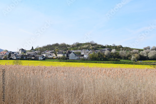 Blick aus dem Sumpfland auf Thür in der Eifel photo