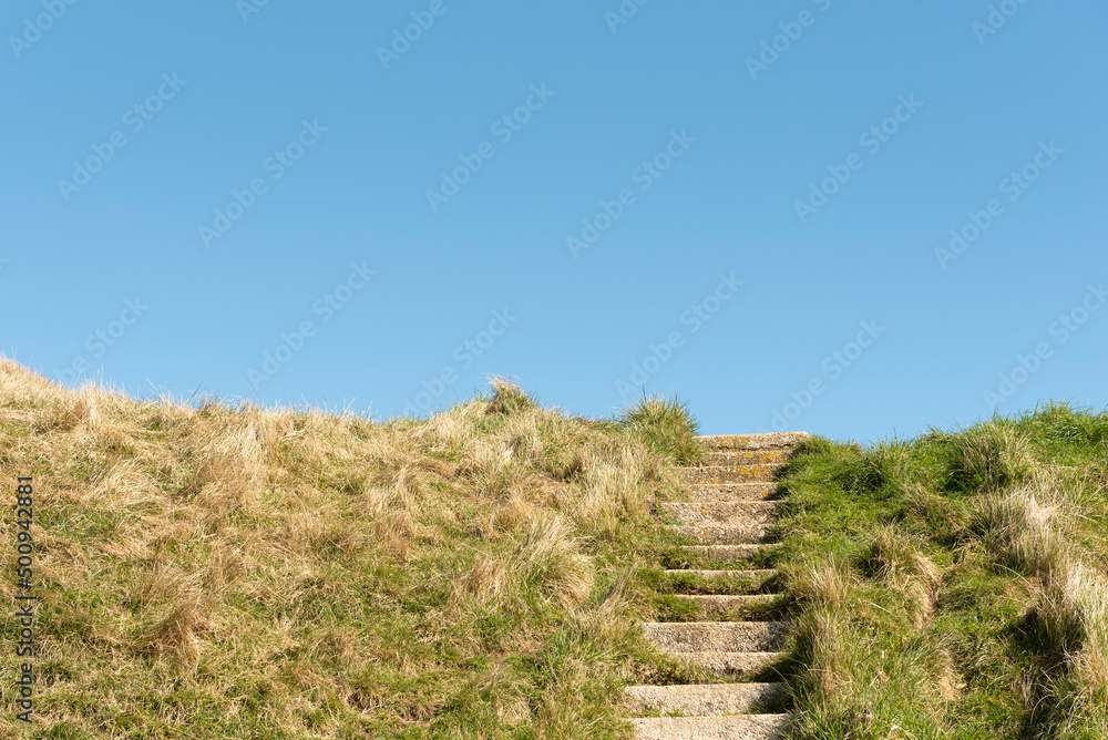 Stairway in the middle of vegetation