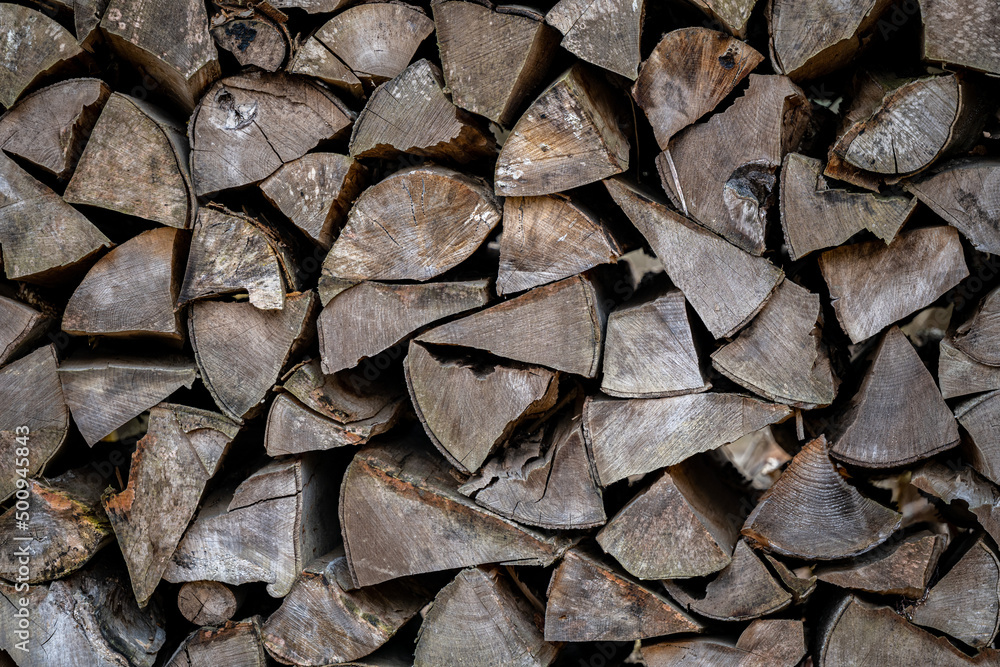 A pile of firewood drying before winter A pile of firewood drying before winter