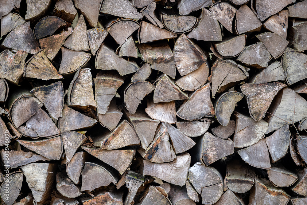 A pile of firewood drying before winter A pile of firewood drying before winter