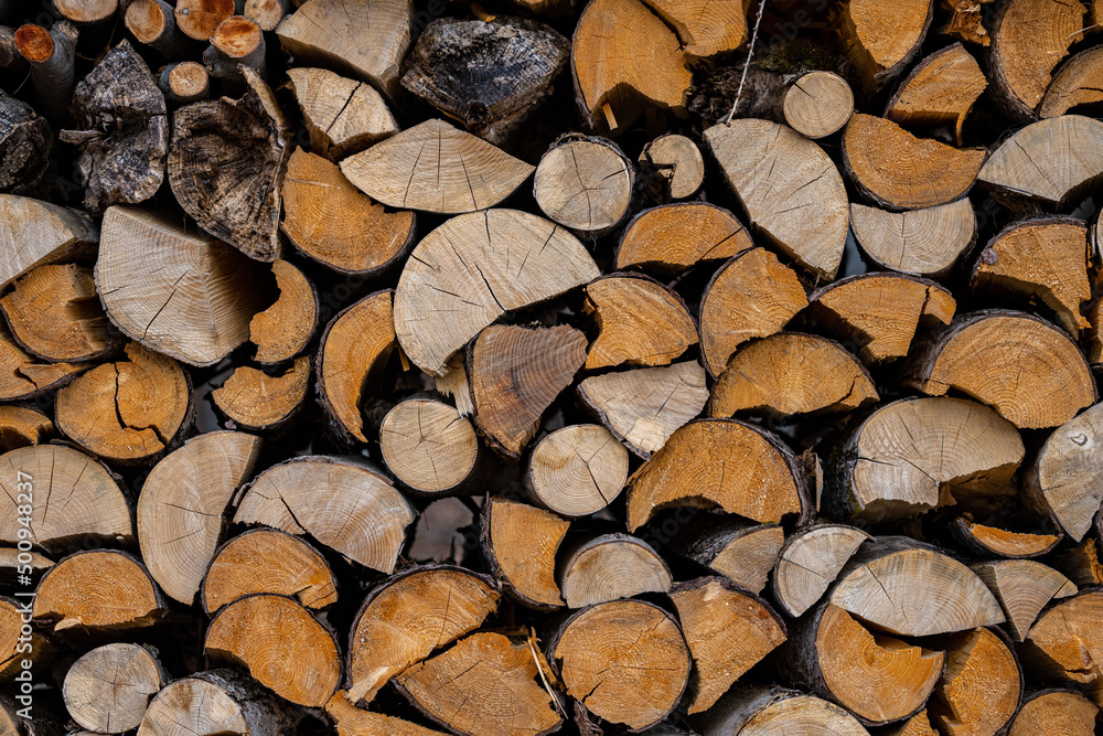 A pile of firewood drying before winter A pile of firewood drying before winter