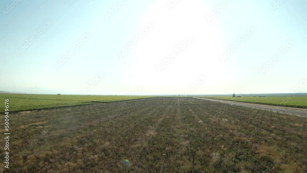 FPV drone view of farm land in Arvin California FPV drone view of farm land in Arvin California