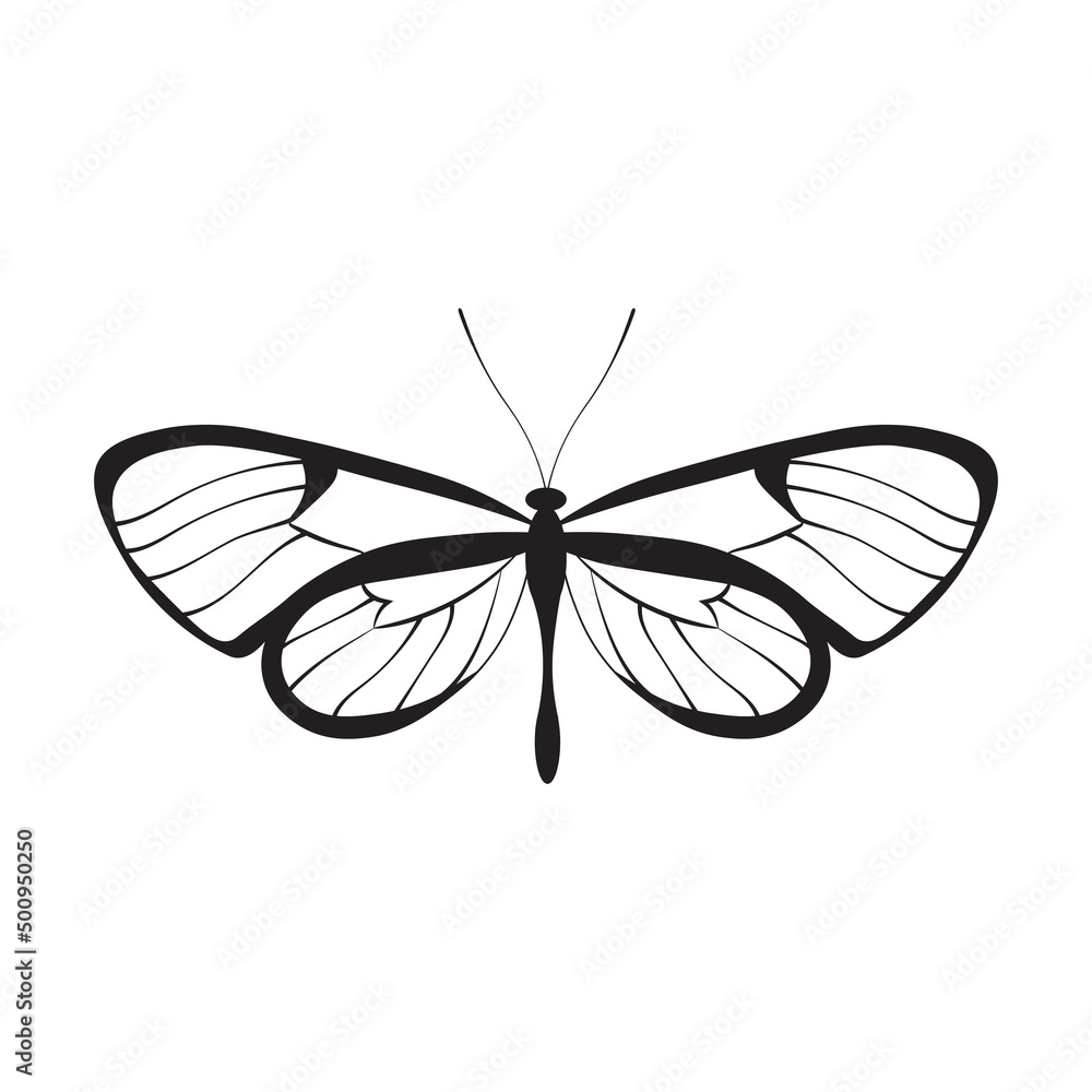 Butterfly illustration, black line art Butterfly illustration, black line art