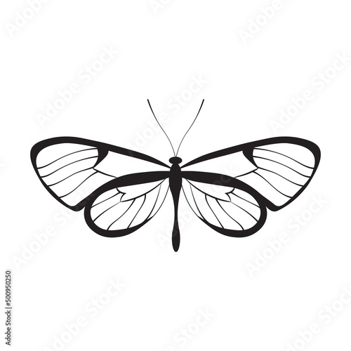 Butterfly illustration, black line art