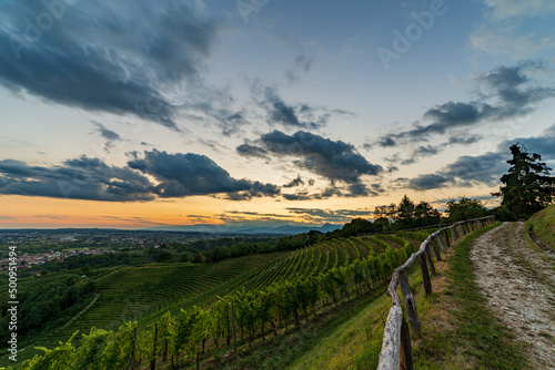 Colorful sunset in the vineyards of Savorgnano del Torre