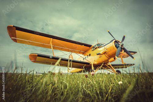 Fototapeta Naklejka Na Ścianę i Meble -  historical aircraft on a meadow