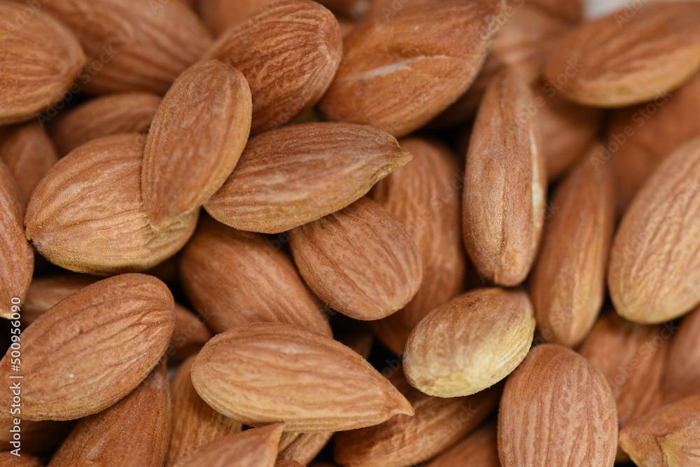 Fototapeta premium Production and consumption proccess of almonds. raw green, raw dried and roasted almondsin