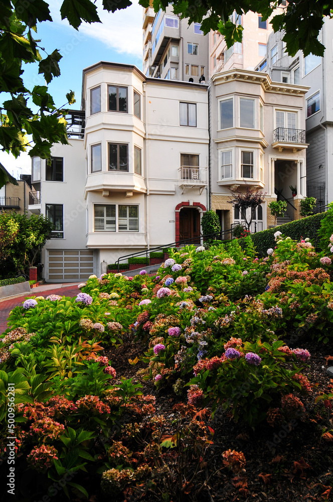 A view of the gardens and buildings of famous Lombard Street, San Francisco, California, USA