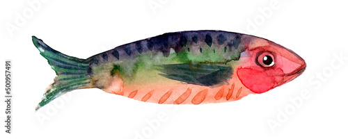 Hand drawn watercolor illustration of fish