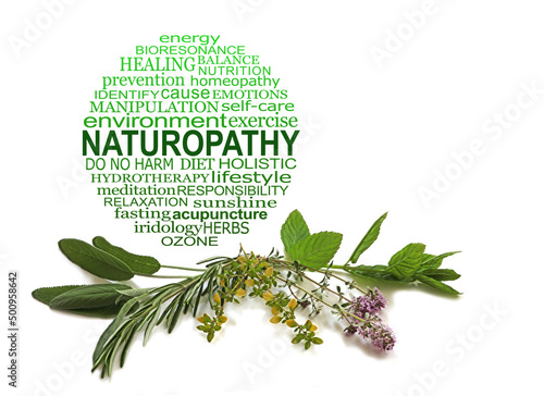 Canvas Print Naturopathy Word Circle Herbalist concept - circular word cloud in graduated gre