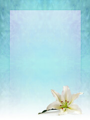 Spiritual Holistic single lily head  Diploma Certificate Award Border Frame background - blue green  center with darker edge providing copy space central area ideal for funeral wakes or courses