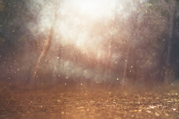 blurred abstract photo of light burst among trees and glitter bokeh lights