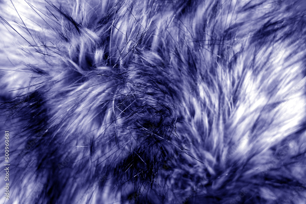 Obraz premium Animal fur close up in blue tone.