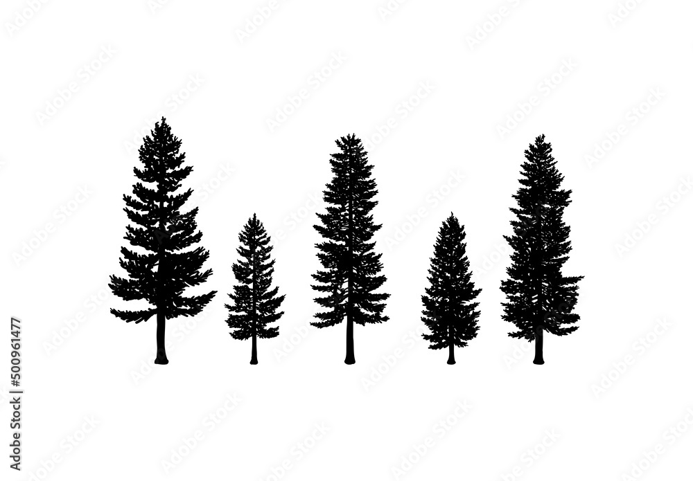 Obraz premium Old Pine Tree Silhouette Collection on the Park Residential landscape Hand Drawing Symbol Vintage Seal Stock Vector