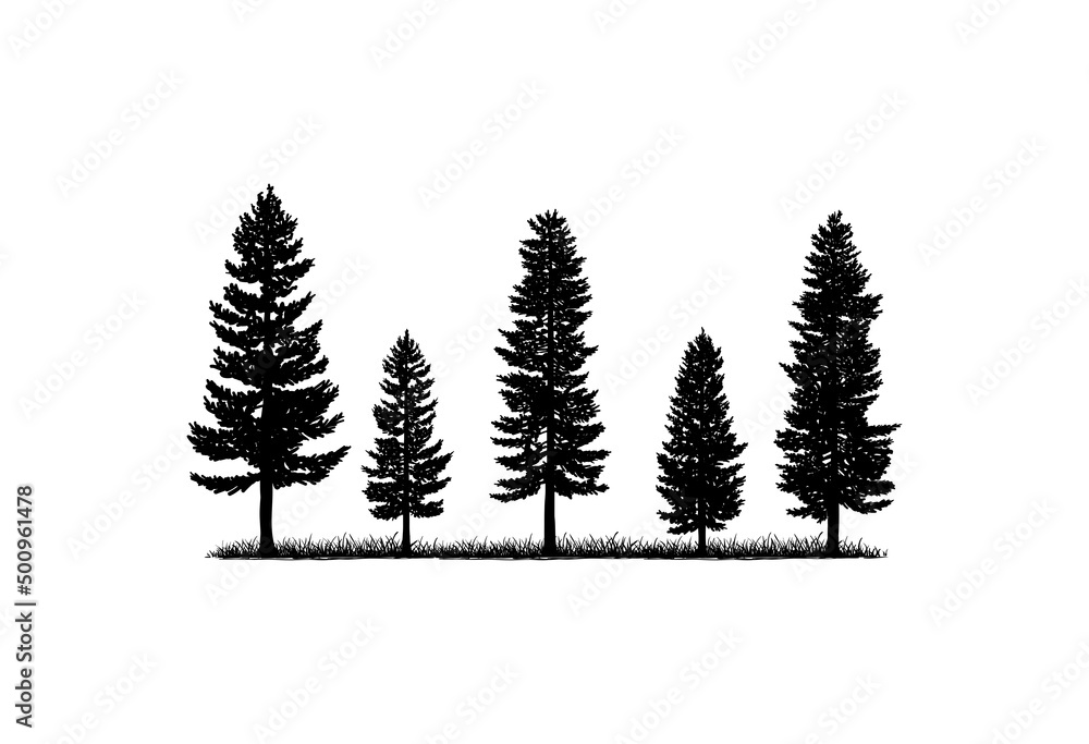 Obraz premium Old Pine Tree Silhouette on the Park Residential landscape Hand Drawing Symbol Vintage Seal Stock Vector 