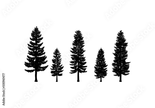 Old Pine Tree Silhouette Collection on the Park Residential landscape Hand Drawing Symbol Vintage Seal Stock Vector 