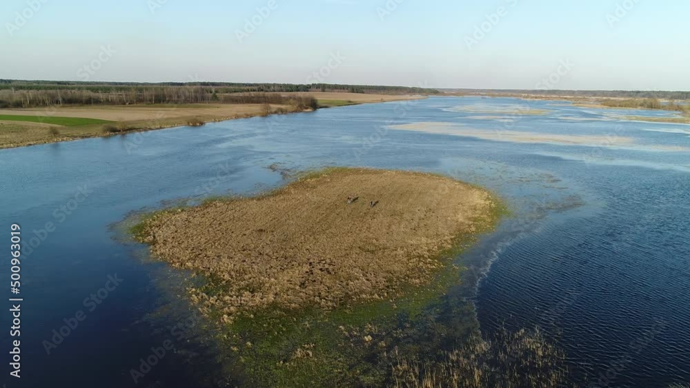 Two men stand on an island in the middle of a flooded river in spring floods. They play musical instruments, trumpet and Two men stand on an island in the middle of a flooded river in spring floods. They play musical instruments, trumpet and