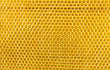 Beekeeping - close-up of the cells of a frame partially filled with honey