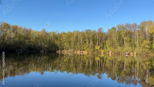 Tranquil small lake with trees in spring and blue sky
