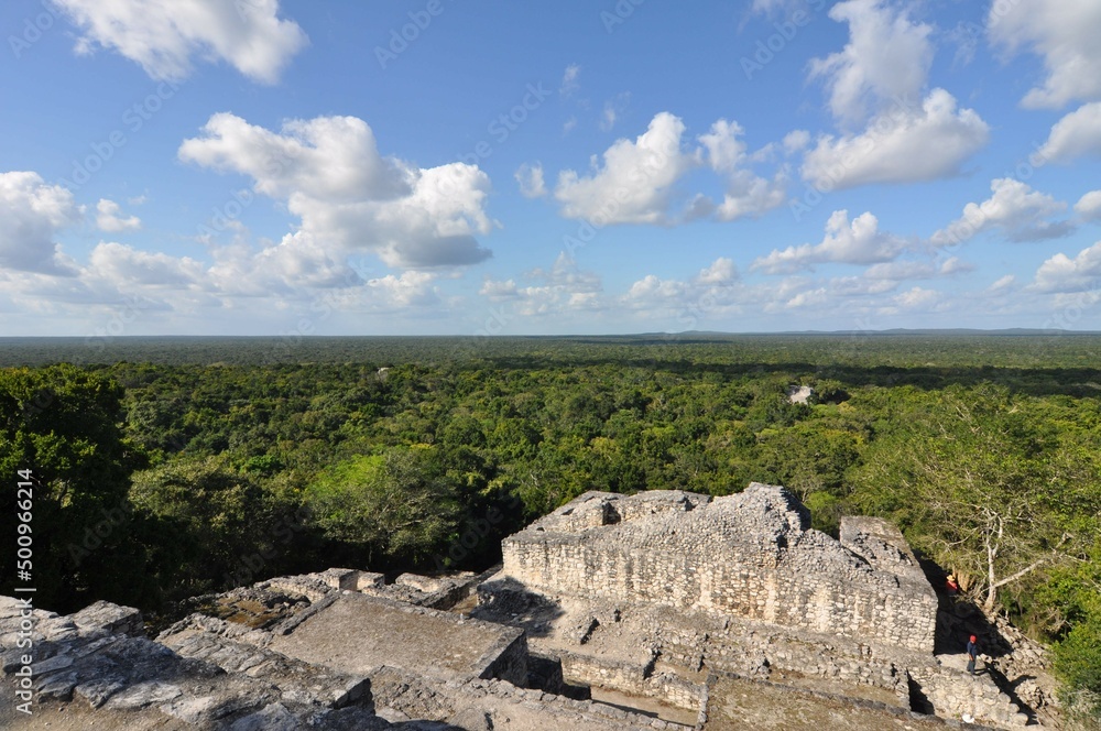 The Calakmul ruins, Mexico.