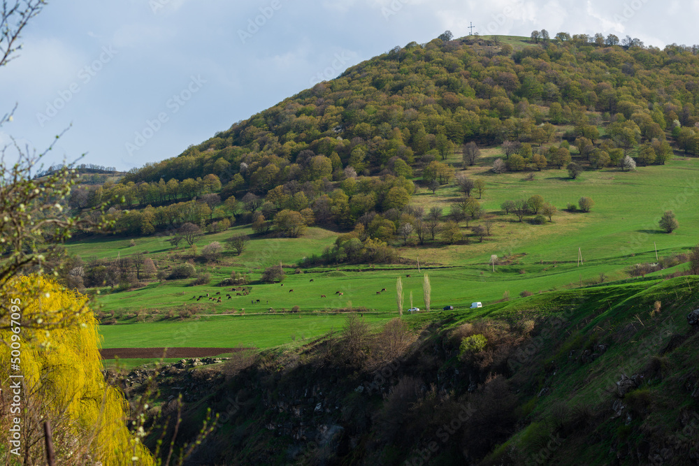 Obraz premium Spring landscape with mountains and forest, Armenia