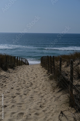 A small path to the sea. Cap Ferret, France, April 2022.