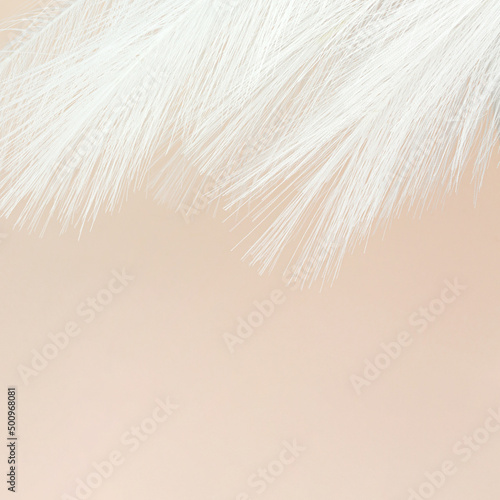 Colorful Artificial Feathers Shot on Beige Background. White Fluffy Feather on Pastel beige background. Design art background. © Alexa Mat