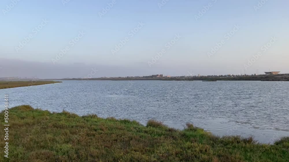 landscape of water and plants, pan left 180 degrees over estuary or lake landscape of water and plants, pan left 180 degrees over estuary or lake