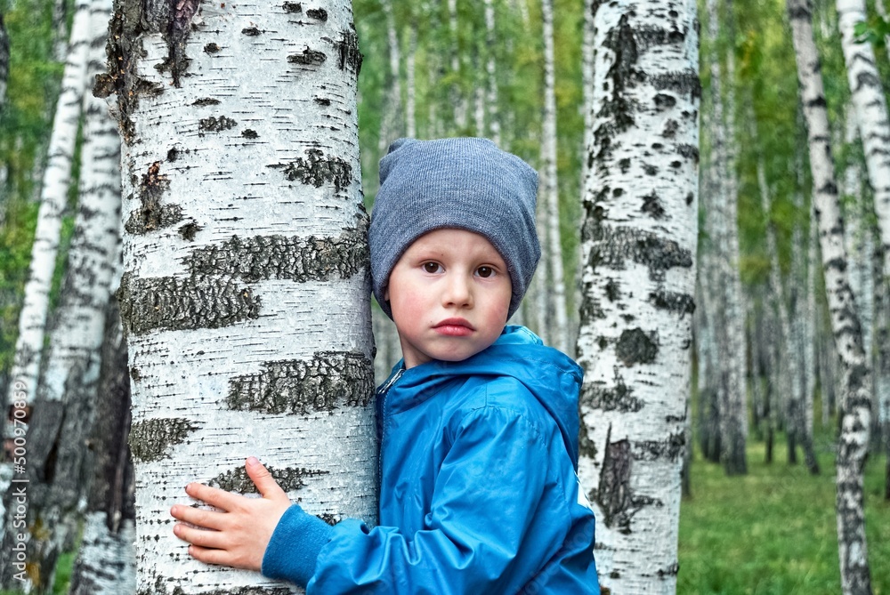 Cute little boy in knitted hat and jacket stands near birch tree in forest in autumn. Portrait of toddler looking in camera on blurred background