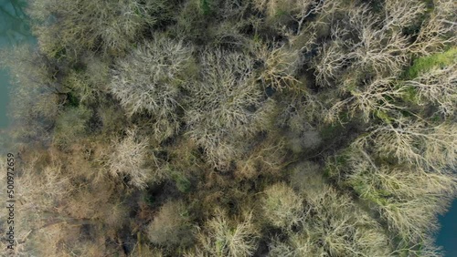 The beauty of winter trees from the air.  Transverse flight photo