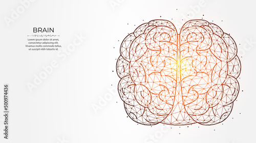 Abstract polygonal vector illustration of human brain on a light background. Mind concept. Neurology creative banner, template or background.