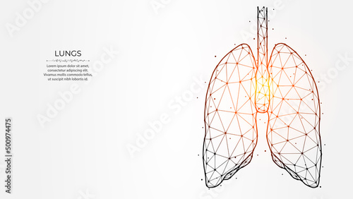 Abstraction polygonal vector illustration of human lungs on a light background. Human respiratory organs low poly design. Medical banner, template or background.