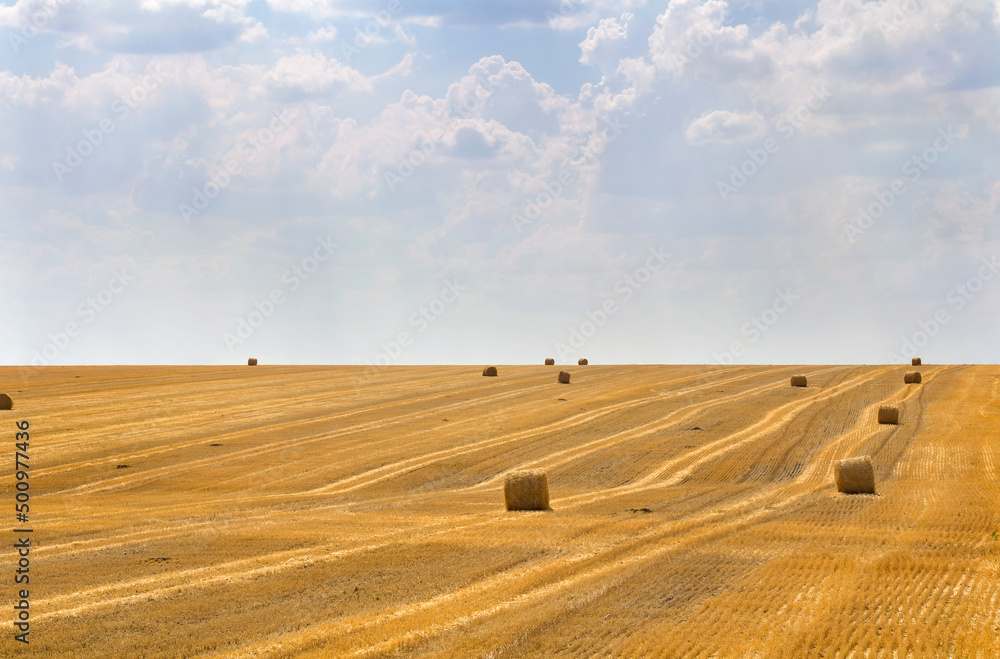A field with straw bales after harvest on the sky background A field with straw bales after harvest on the sky background