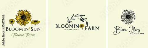 Sunflower logo. Flower farm. Sunflower oil.