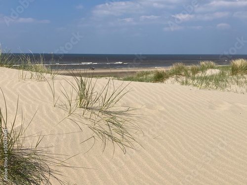 Sanddünen am Strand der Nordsee in Holland Noordwijk