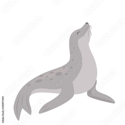 Antarctic Fur Seal.vector illustration isolated on white