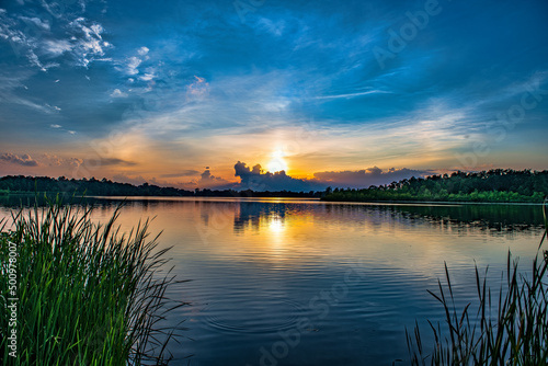 Fototapeta Naklejka Na Ścianę i Meble -  Sunset through the cattails at the lake