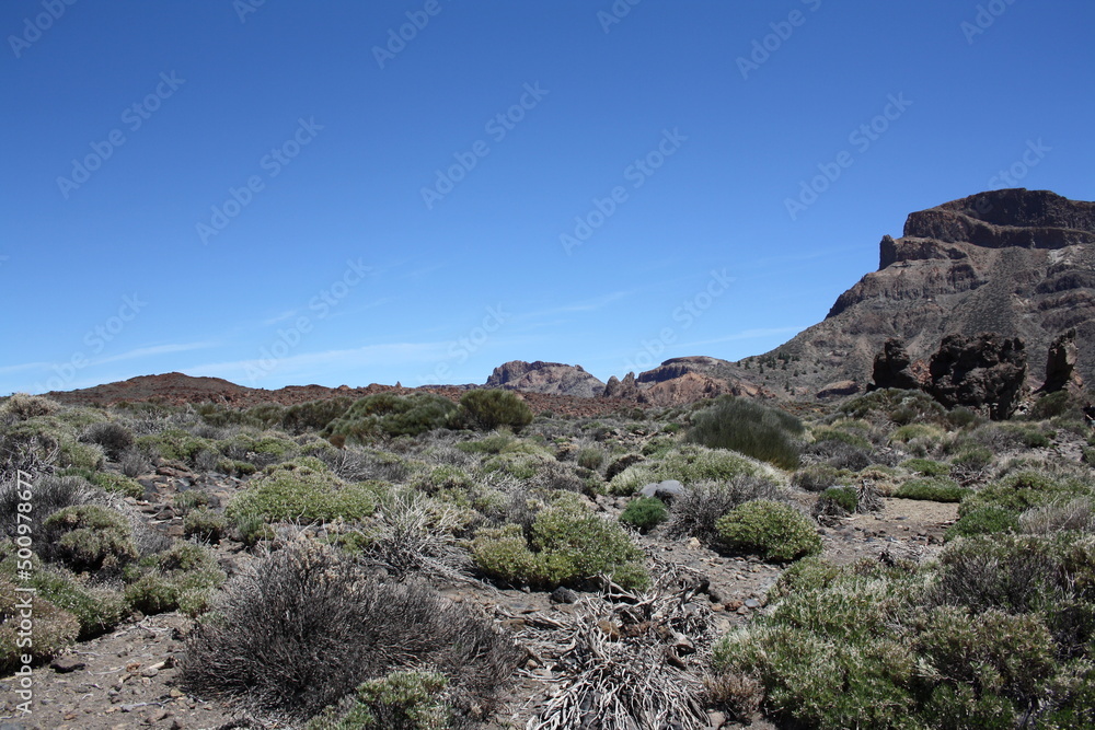 View on the wall of the caldera in the Teide National Park on Tenerife