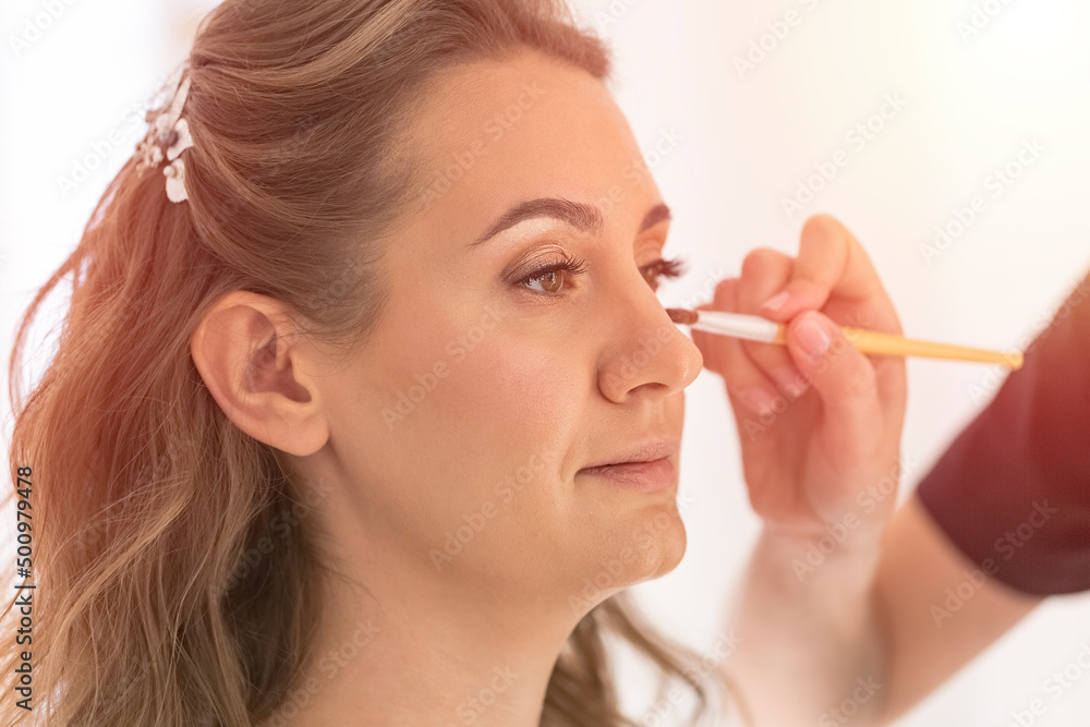 Make-up artist makes a professional make-up of a young woman. Makeup artist applies makeup with a brush. The concept of a beauty school, preparing for a wedding or bachelorette party Make-up artist makes a professional make-up of a young woman. Makeup artist applies makeup with a brush. The concept of a beauty school, preparing for a wedding or bachelorette party